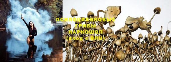 не бодяженный Абдулино