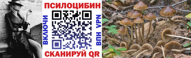 как найти закладки  Северская  Галлюциногенные грибы прущие грибы 